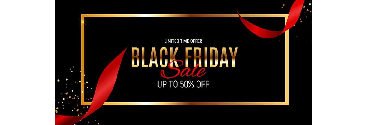 Black Friday Sale