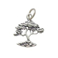 Sterling Silver Charm with Jump Ring - Cypress Tree x 20mm