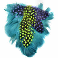Petite Feather Pad - Teal Goose, Saitnettes and Guinea