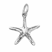 Pendant Charm with Jump Ring - Silver Plated - Starfish x 17mm
