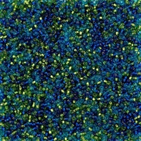 Czech Seed Beads 10/0 – Citrus Lagoon Mix 22g Vial